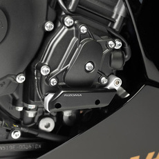 RIZOMA PM552A - Engine guard - RH
