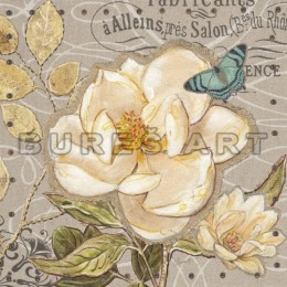 Poster Trandafir alb