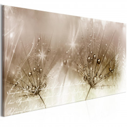 Tablou - Drops of Dew (1 Part) Brown Wide