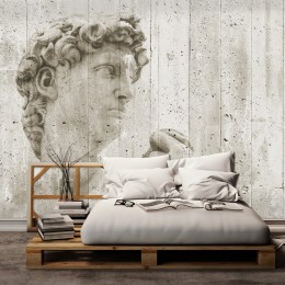Fototapet decorativ David de Michelangelo