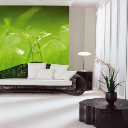 Fototapet Verde
