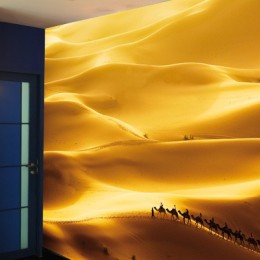 Fototapet vlies cu peisaj Dune aurii