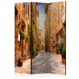 Paravan - Colourful Street in Tuscany [Room Dividers]