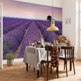 Fototapet vlies peisaj Provence
