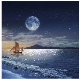 Fototapet Pe mare sub clar de luna