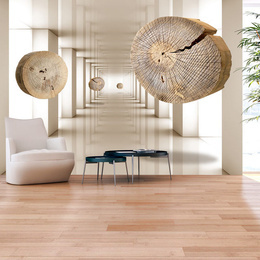 Fototapet - Flying Discs of Wood