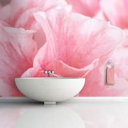 Fototapet - Pink azalea flowers