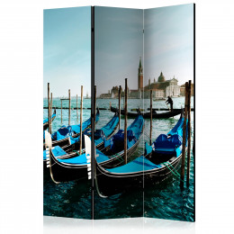 Paravan - Gondolas on the Grand Canal, Venice [Room Dividers]