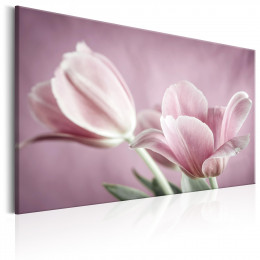 Tablou canvas Lalele romantice