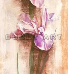 Tablou decorativ ''Irisi'' inramat