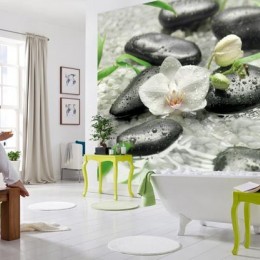 Fototapet zen Pur