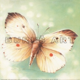Poster Fluture diafan II