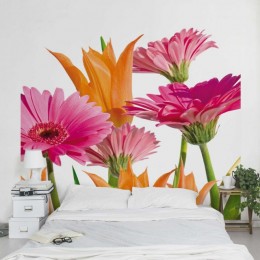 Fototapet vlies Armonii florale cu gherbere
