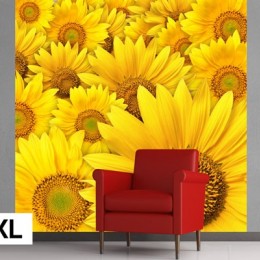 Fototapet vlies Floarea soarelui