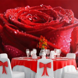 Fototapet floral Trandafir cu roua