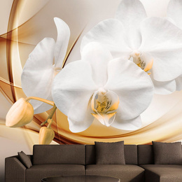 Fototapet - Orchid blossom