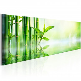 Tablou - Green Bamboo