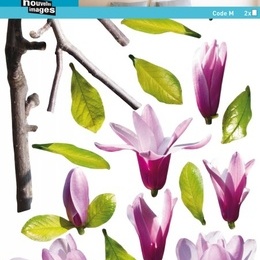 Sticker de perete floral "Ramura de magnolie"