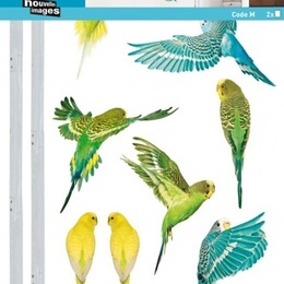 Sticker decorativ "Papagali"