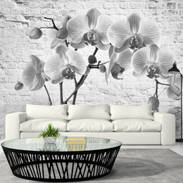 Fototapet - Orchid in Shades of Gray