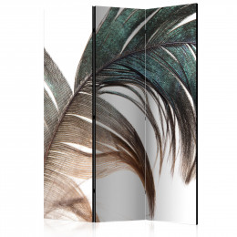 Paravan - Beautiful Feather [Room Dividers]