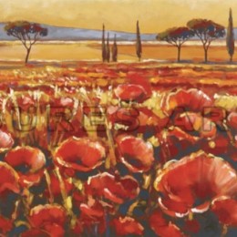 Tablou Camp cu maci inramat, 70x50 cm