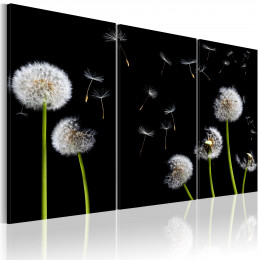 Tablou - Dandelions family