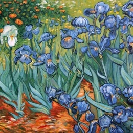 Pictura "Irisi" -reproducere Van Gogh