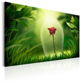 Tablou canvas Trandafirul magic