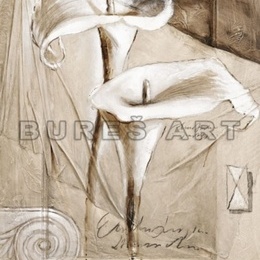 Tablou ''Crini'' inramat