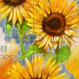 Tablou ''Floarea soarelui'' inramat