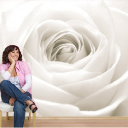 Fototapet floral Trandafir alb