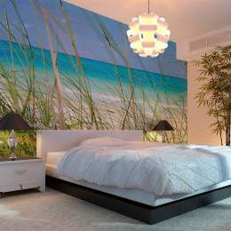Fototapet - Tropical journey
