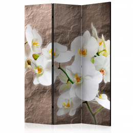 Paravan - Impeccability of the Orchid [Room Dividers]