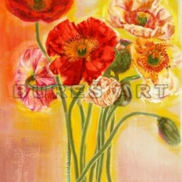 Tablou Buchet de maci inramat