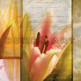 Tablou floral Poem cu lalea