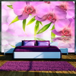 Fototapet - Orchids in lilac colour