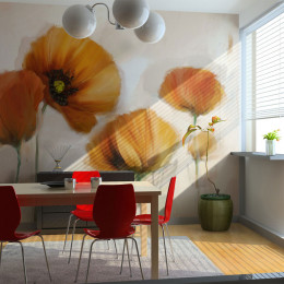 Fototapet - poppies - vintage