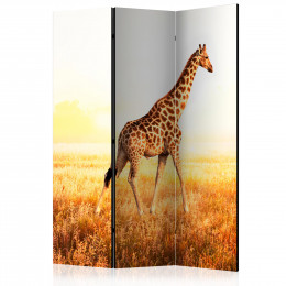 Paravan - giraffe - walk [Room Dividers]