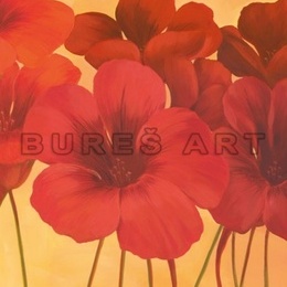 Tablou ''Flori spaniole de lotus'' inramat