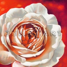 Tablou decorativ cu trandafir alb - inramat