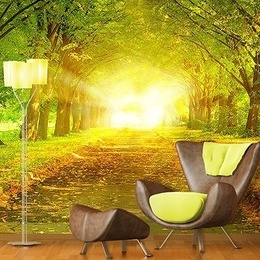 Fototapet Toamna sub bolta copacilor din parc