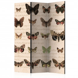 Paravan - Retro Style: Butterflies [Room Dividers]