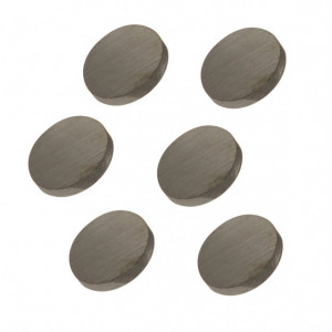 Set 6 Magneti 20mm Sintron