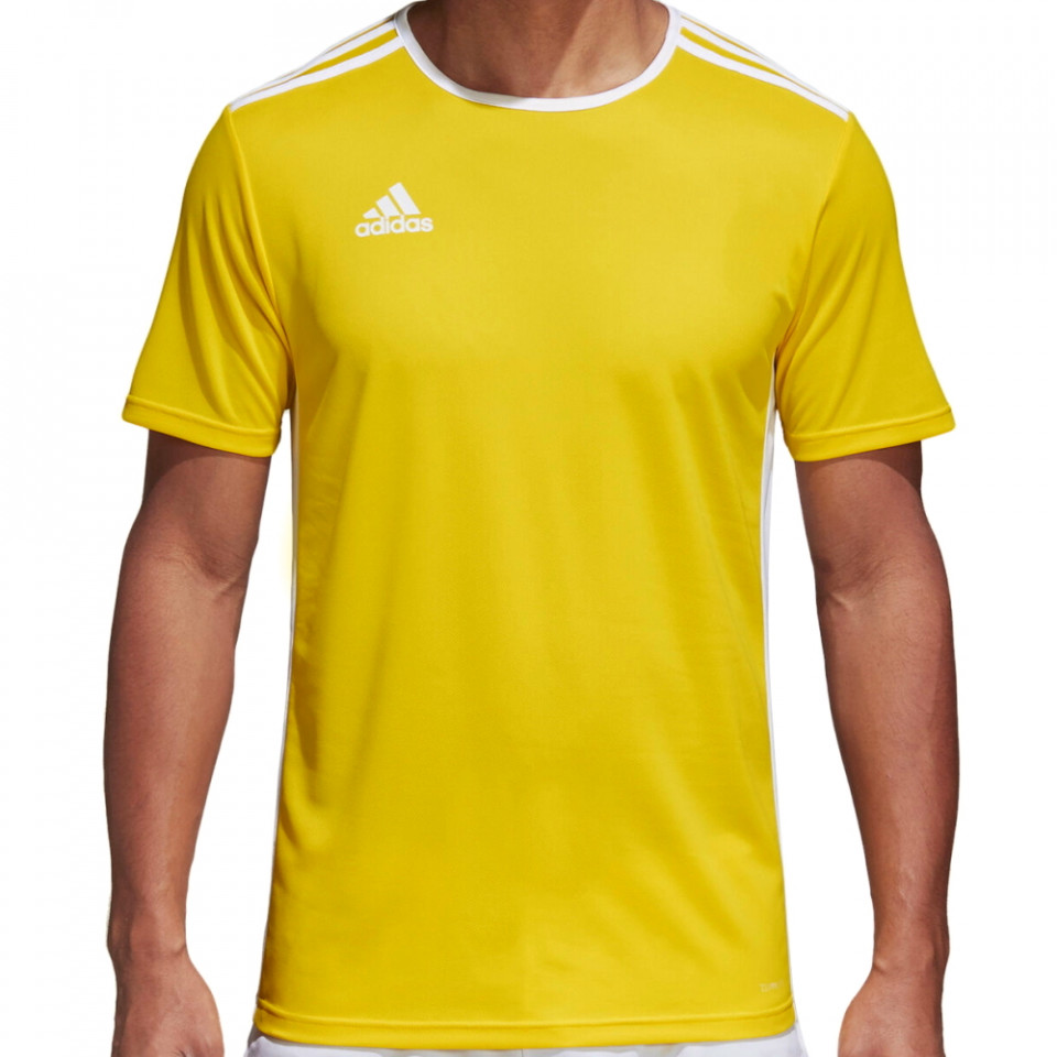 Tricou Adidas Entrada 18 pentru barbati