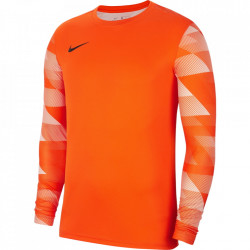 Bluza portar Nike Dry Park IV pentru barbati