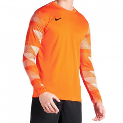 Bluza portar Nike Dry Park IV pentru copii