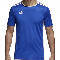 Tricou Adidas Entrada 18 pentru barbati