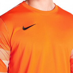 Bluza portar Nike Dry Park IV pentru barbati