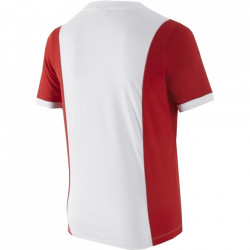 Tricou Nike Park Derby pentru barbati